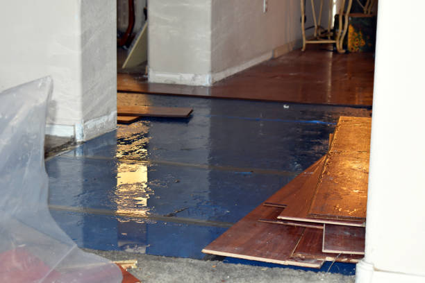 Professional Water Extraction technician working in Hesperia, MI